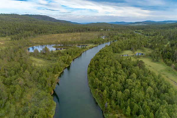Tratamento de Água Ecológico Tratamento de Água Ecológico